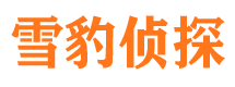 柳江找人公司